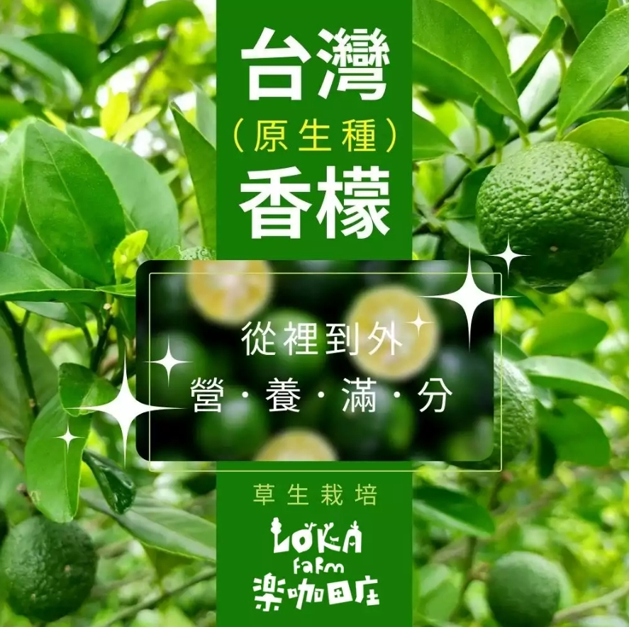蔬菜水果