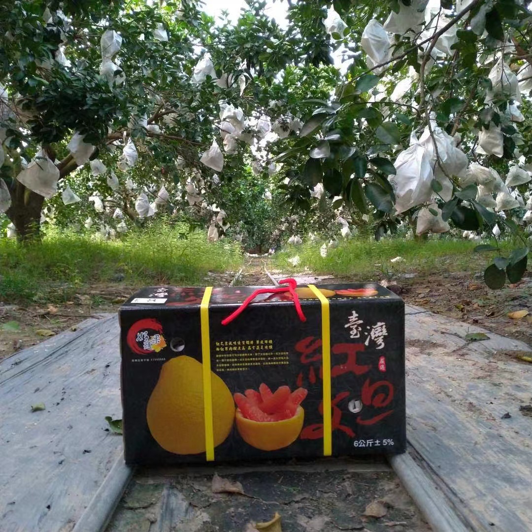 蔬菜水果