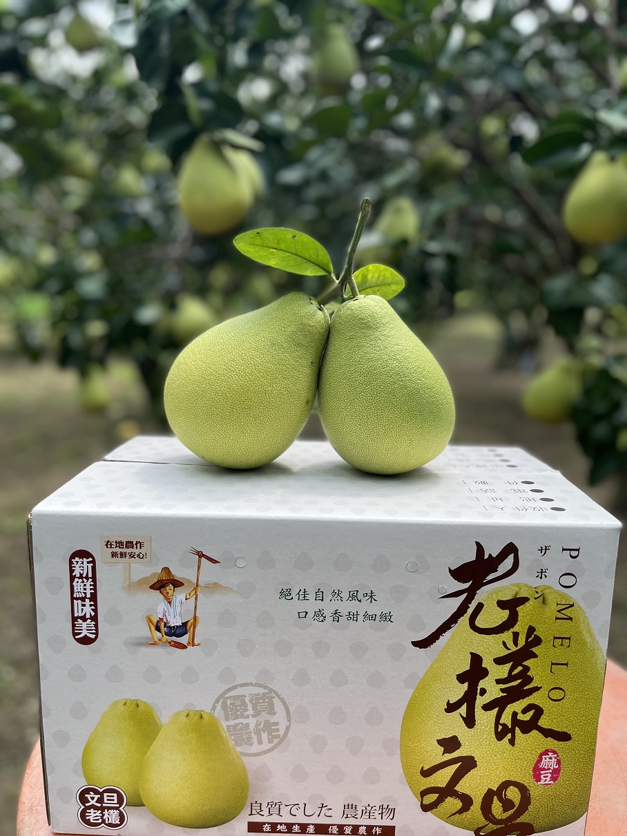 蔬菜水果