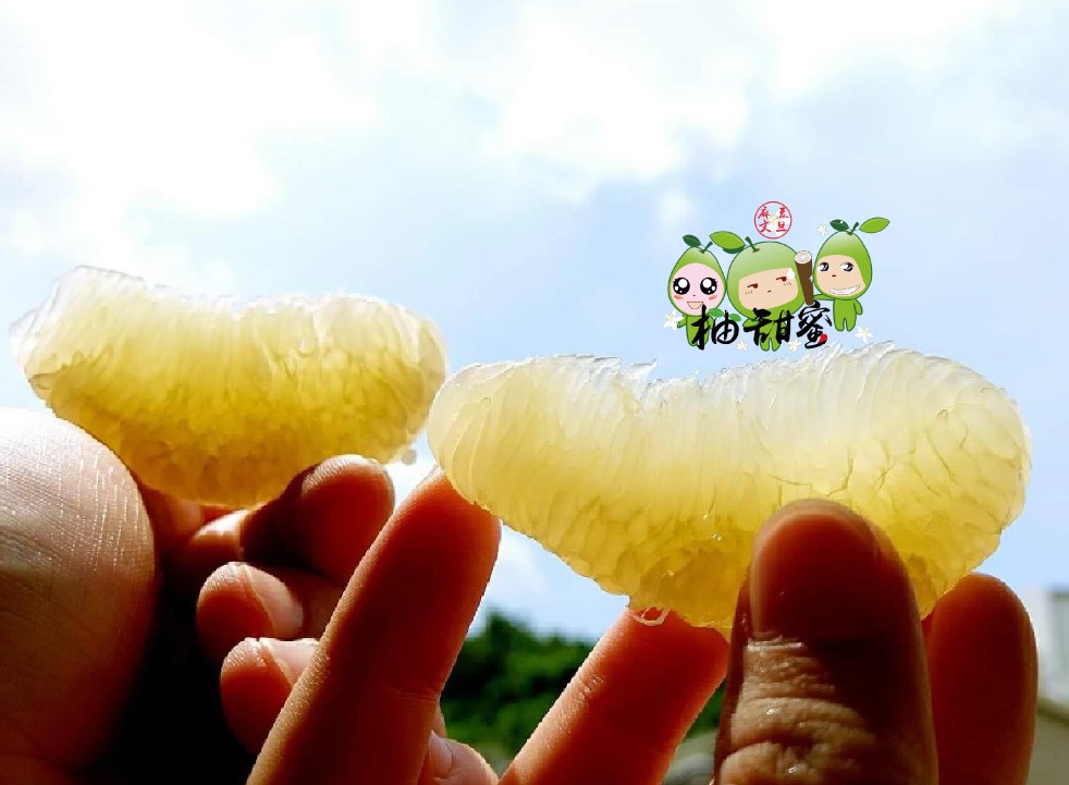 蔬菜水果