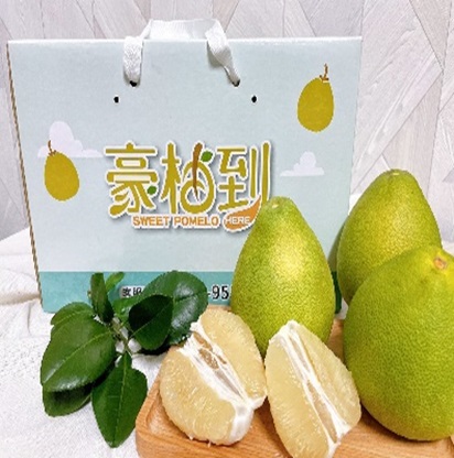 蔬菜水果