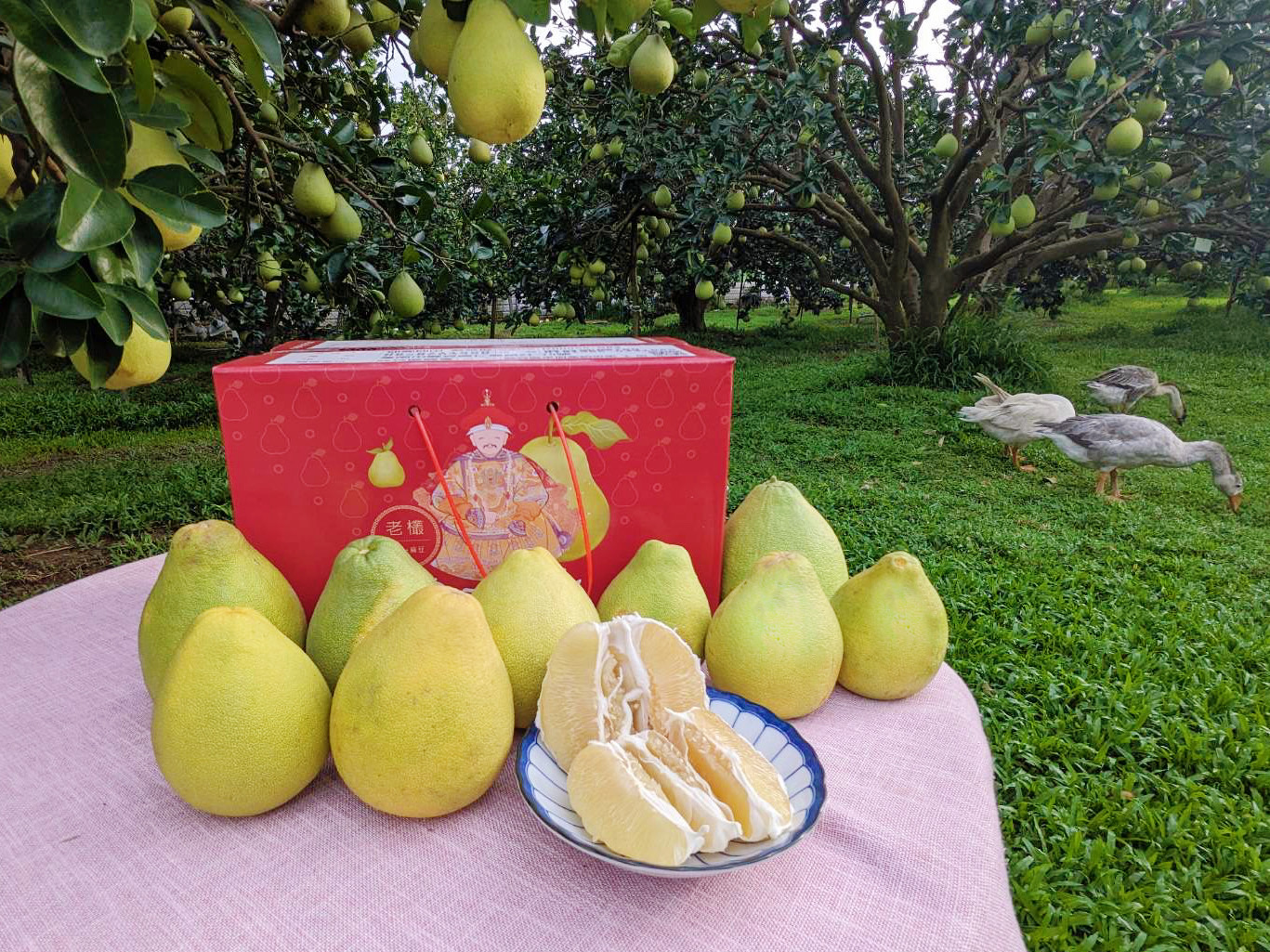 蔬菜水果
