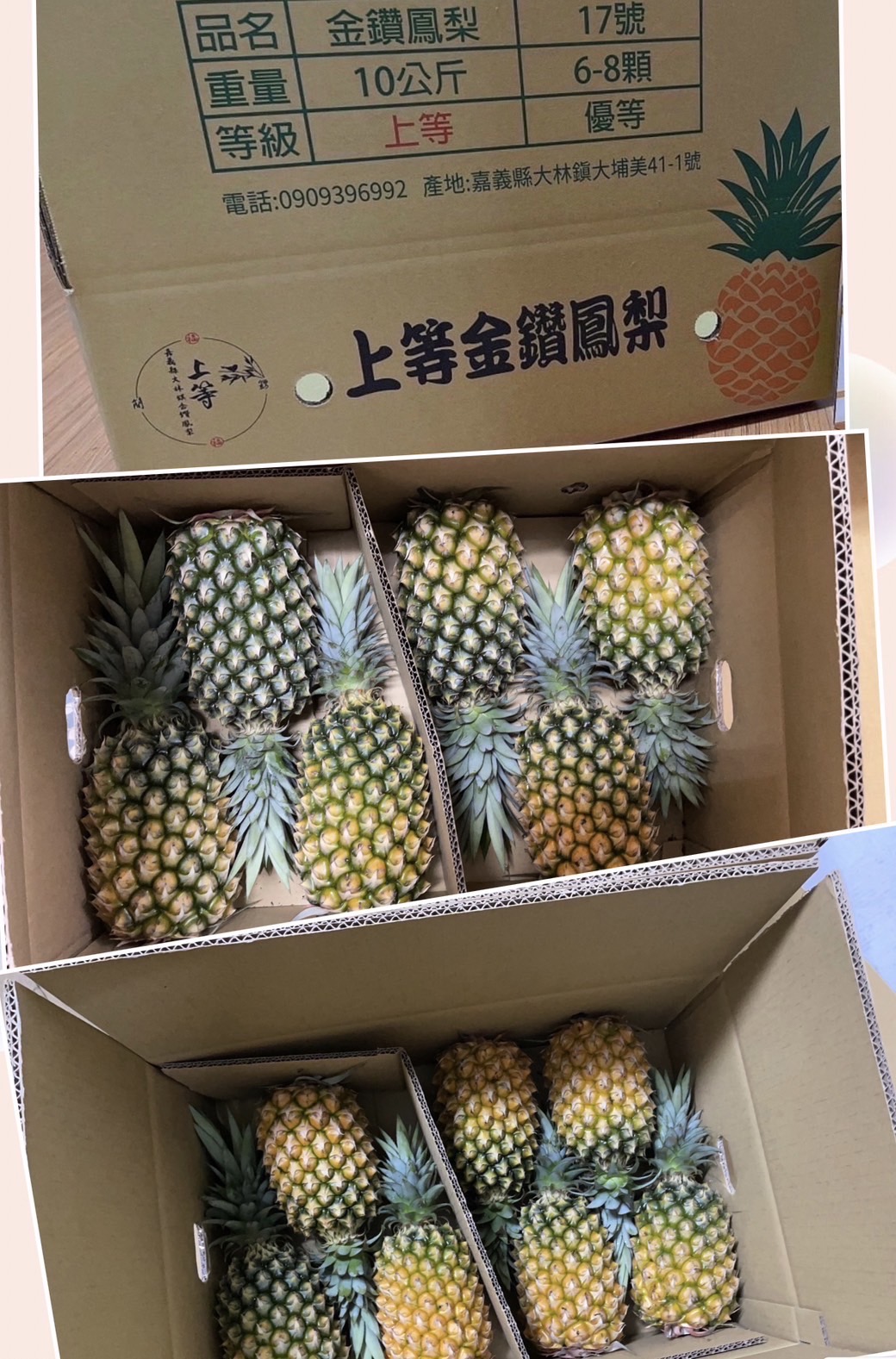蔬菜水果