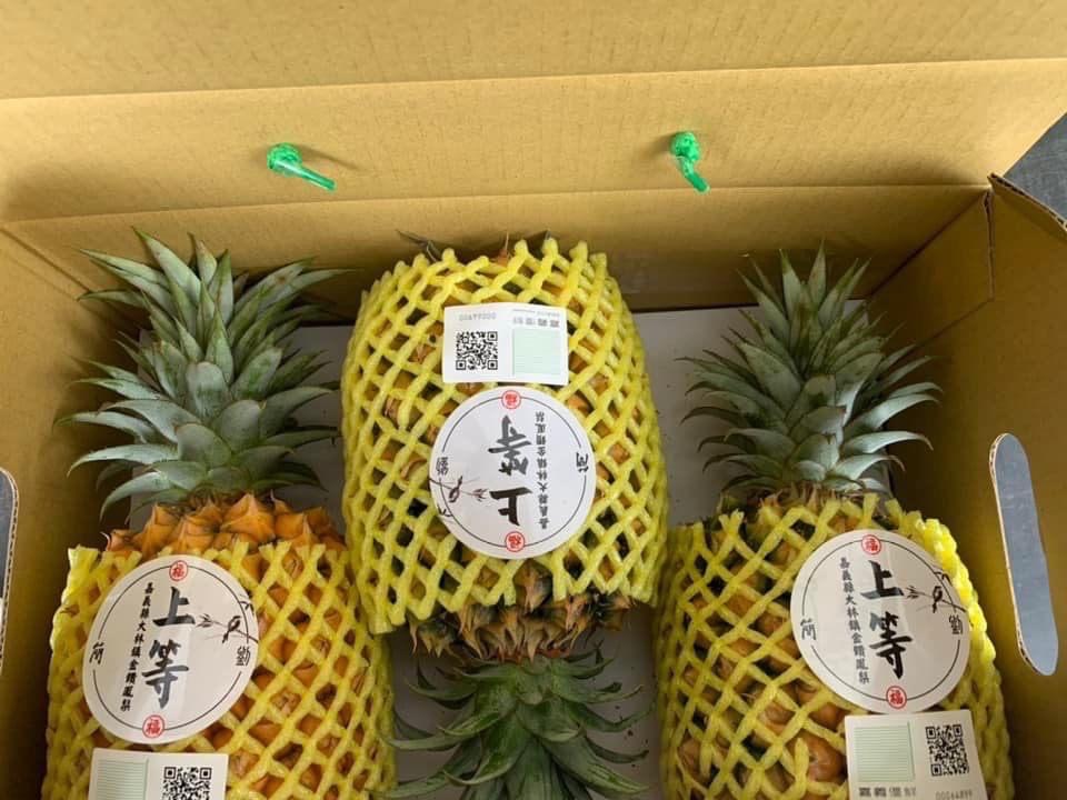 蔬菜水果