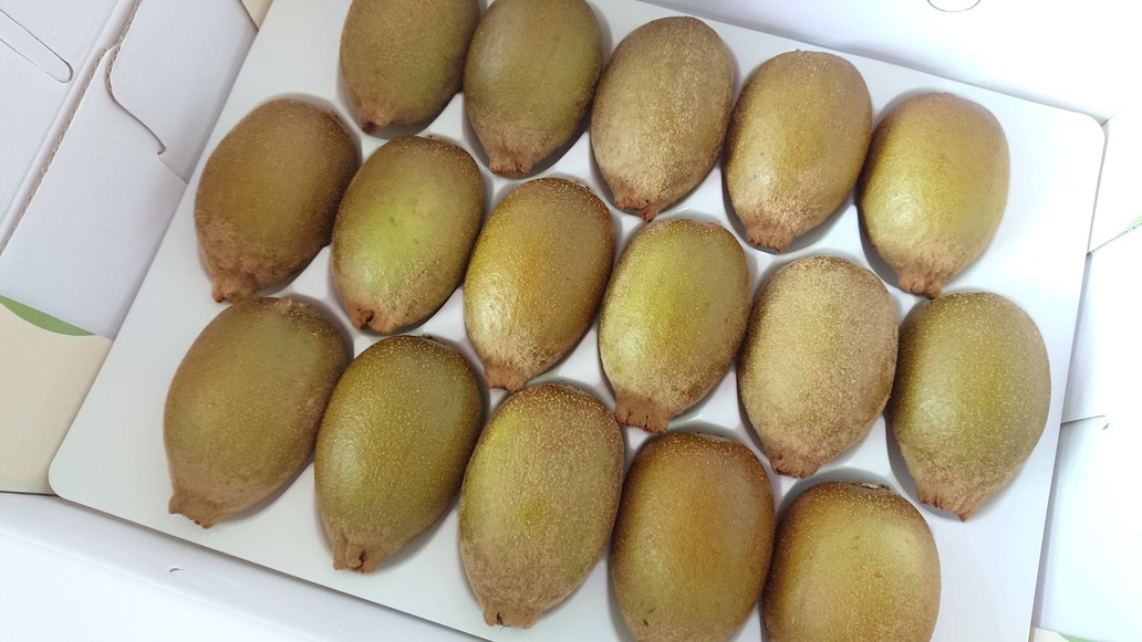 蔬菜水果