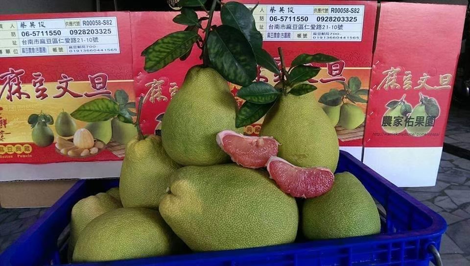 蔬菜水果