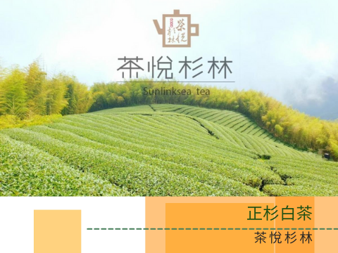 蔬菜水果