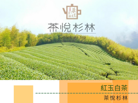 蔬菜水果