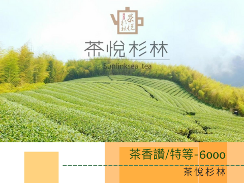 蔬菜水果