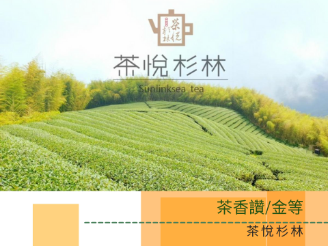 蔬菜水果