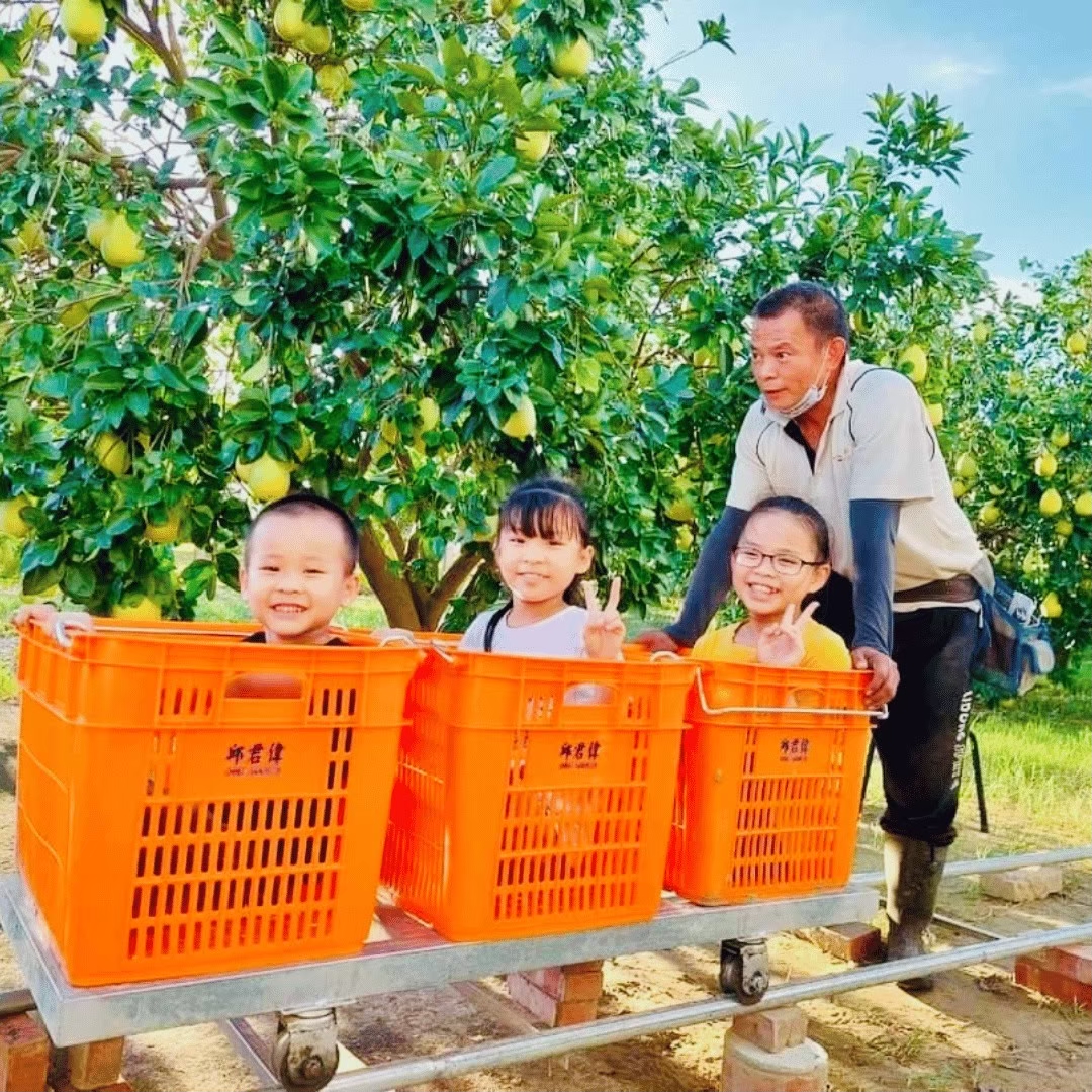 柚子園是孩子們的遊樂園
