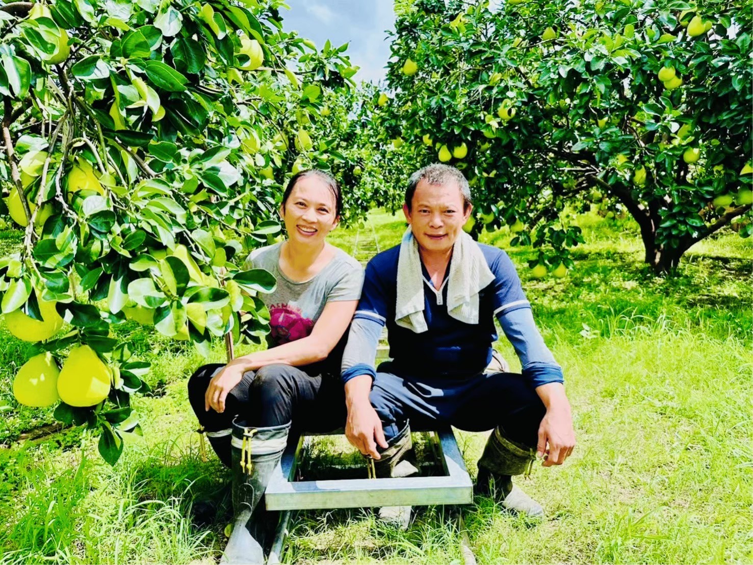 夫妻同心管理柚園