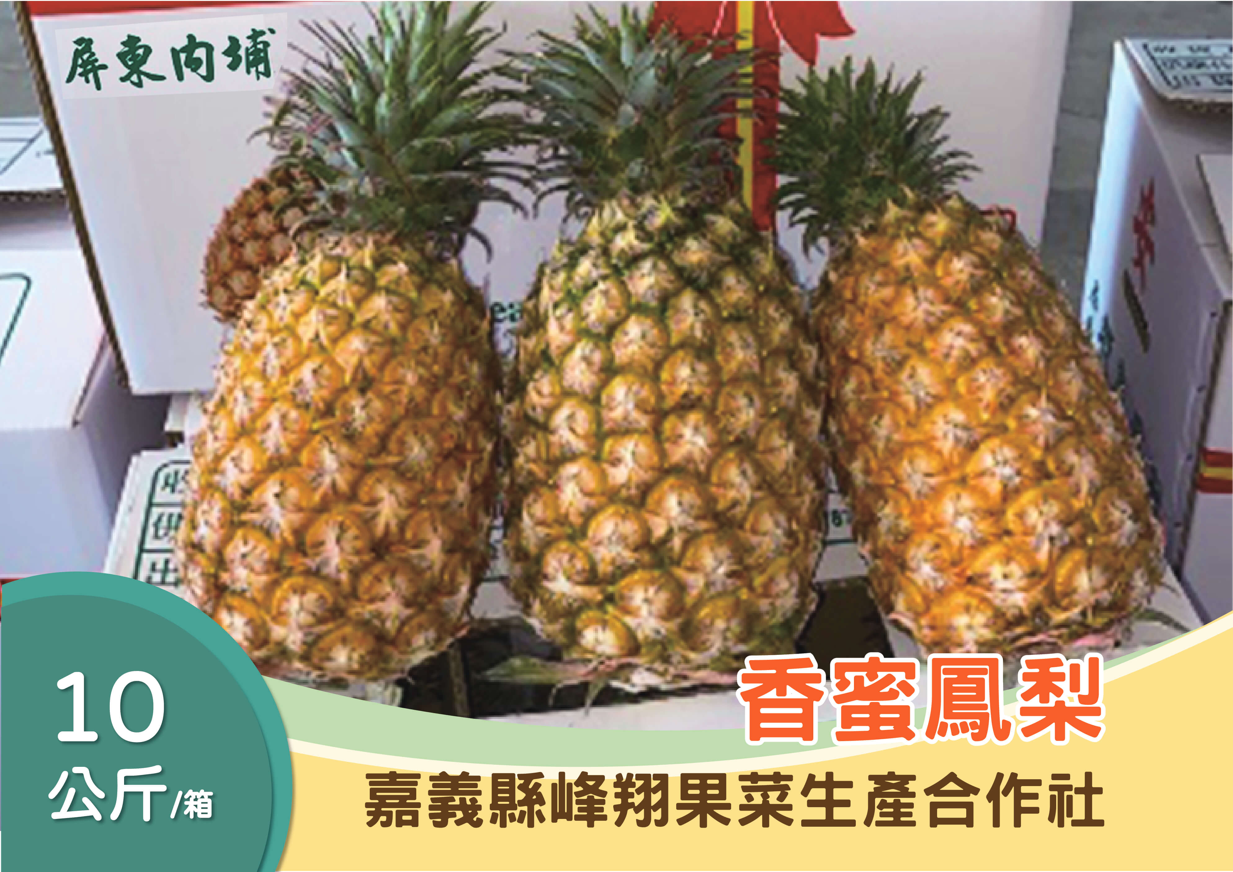 蔬菜水果