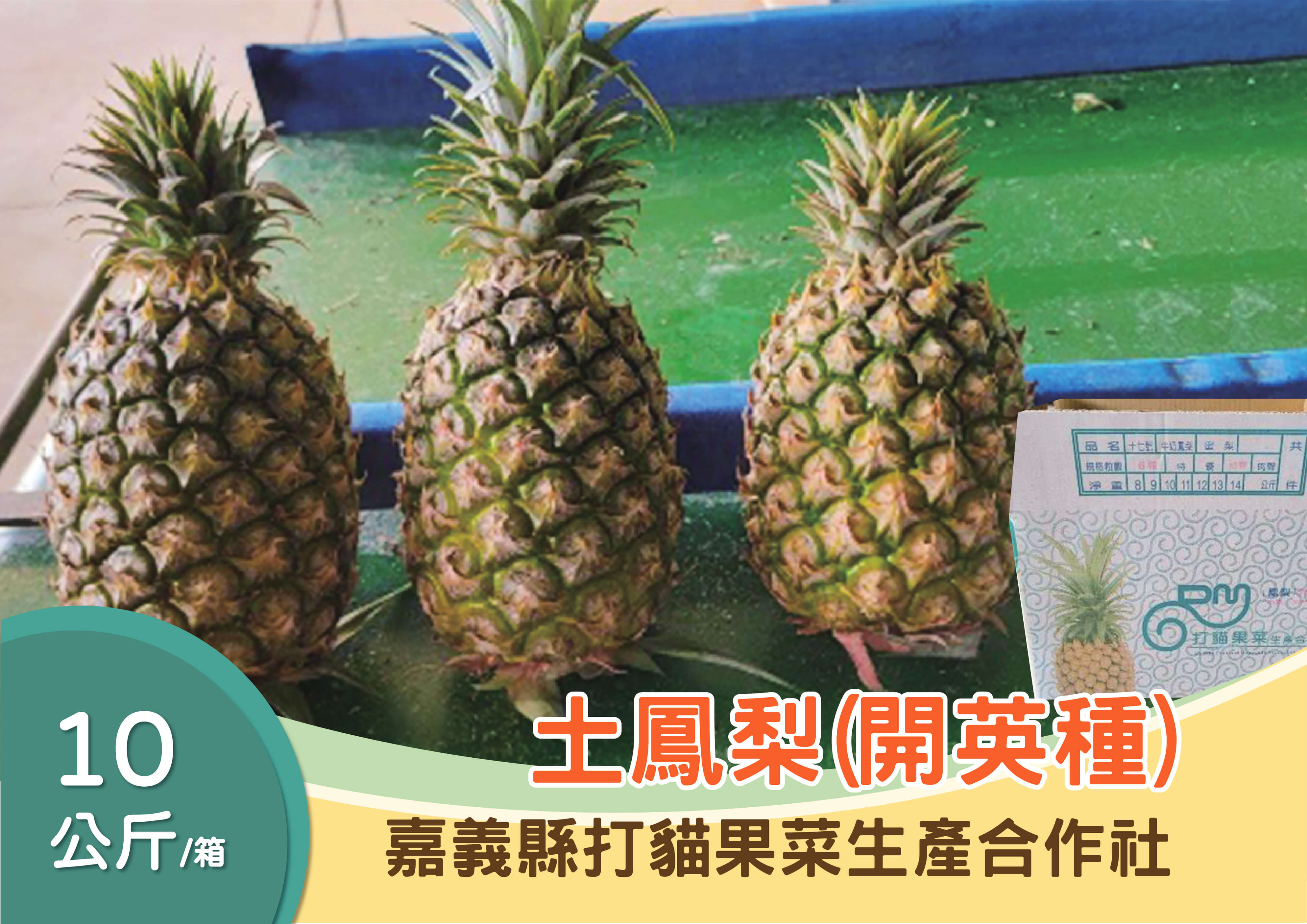 蔬菜水果