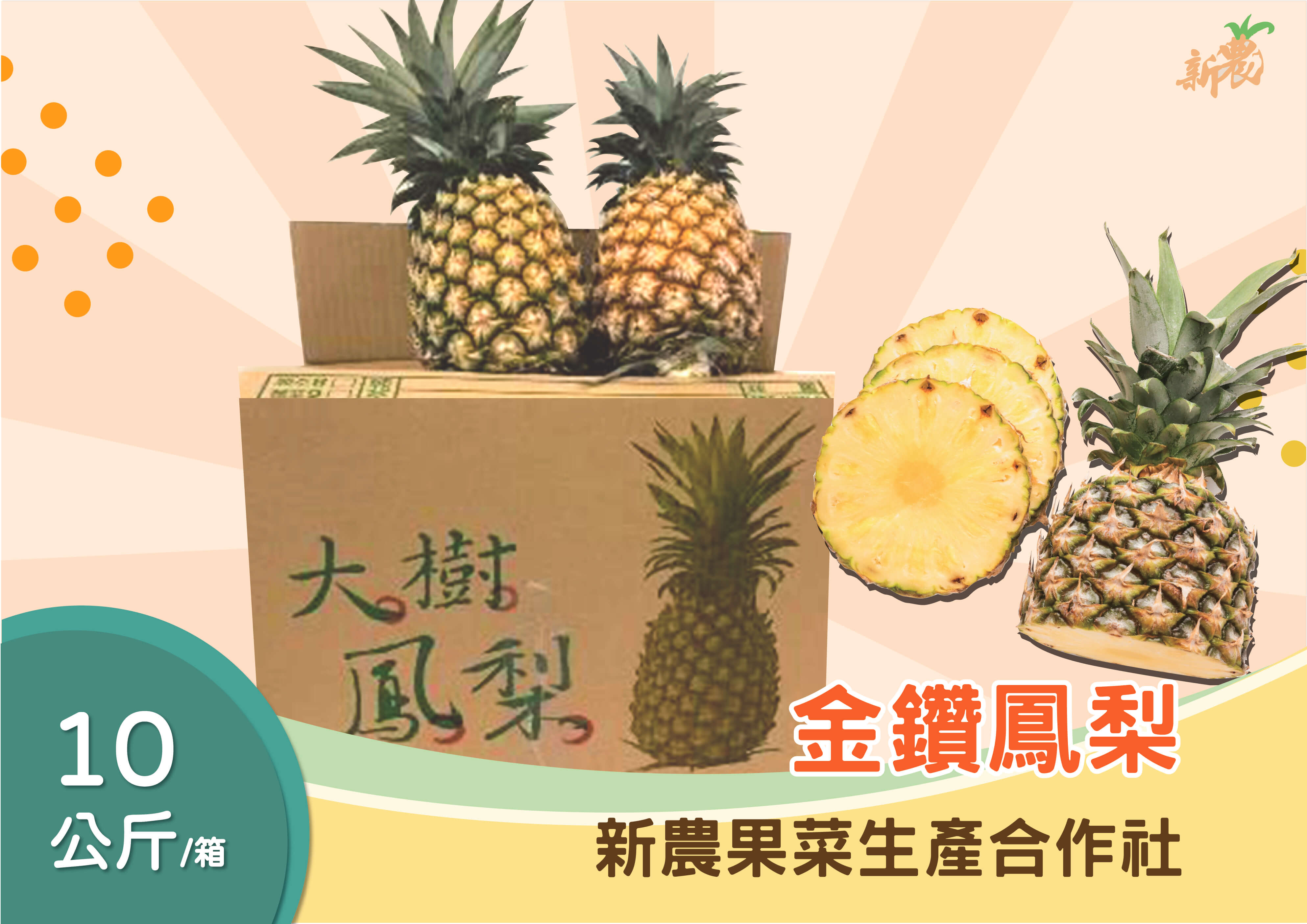 蔬菜水果