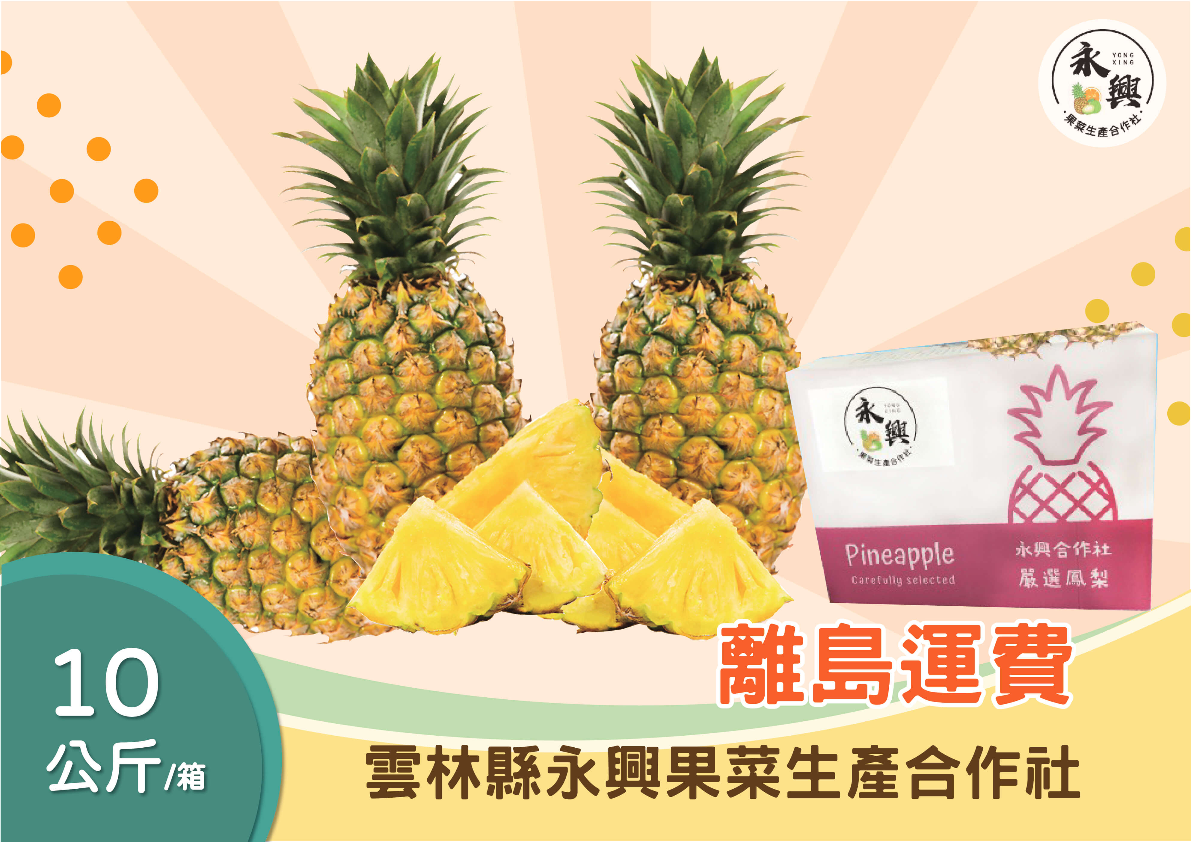 蔬菜水果