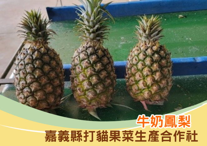 蔬菜水果