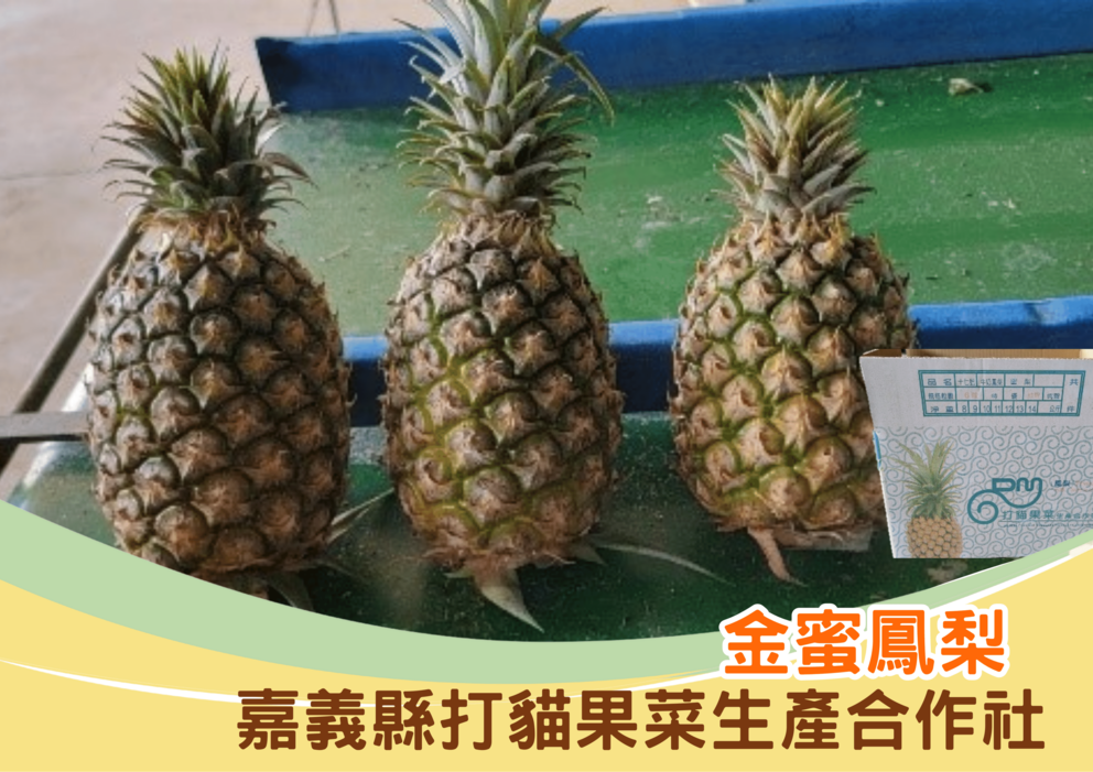 蔬菜水果