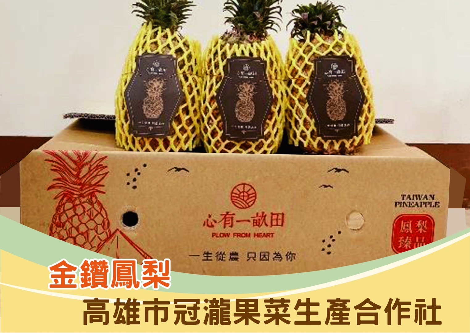 蔬菜水果