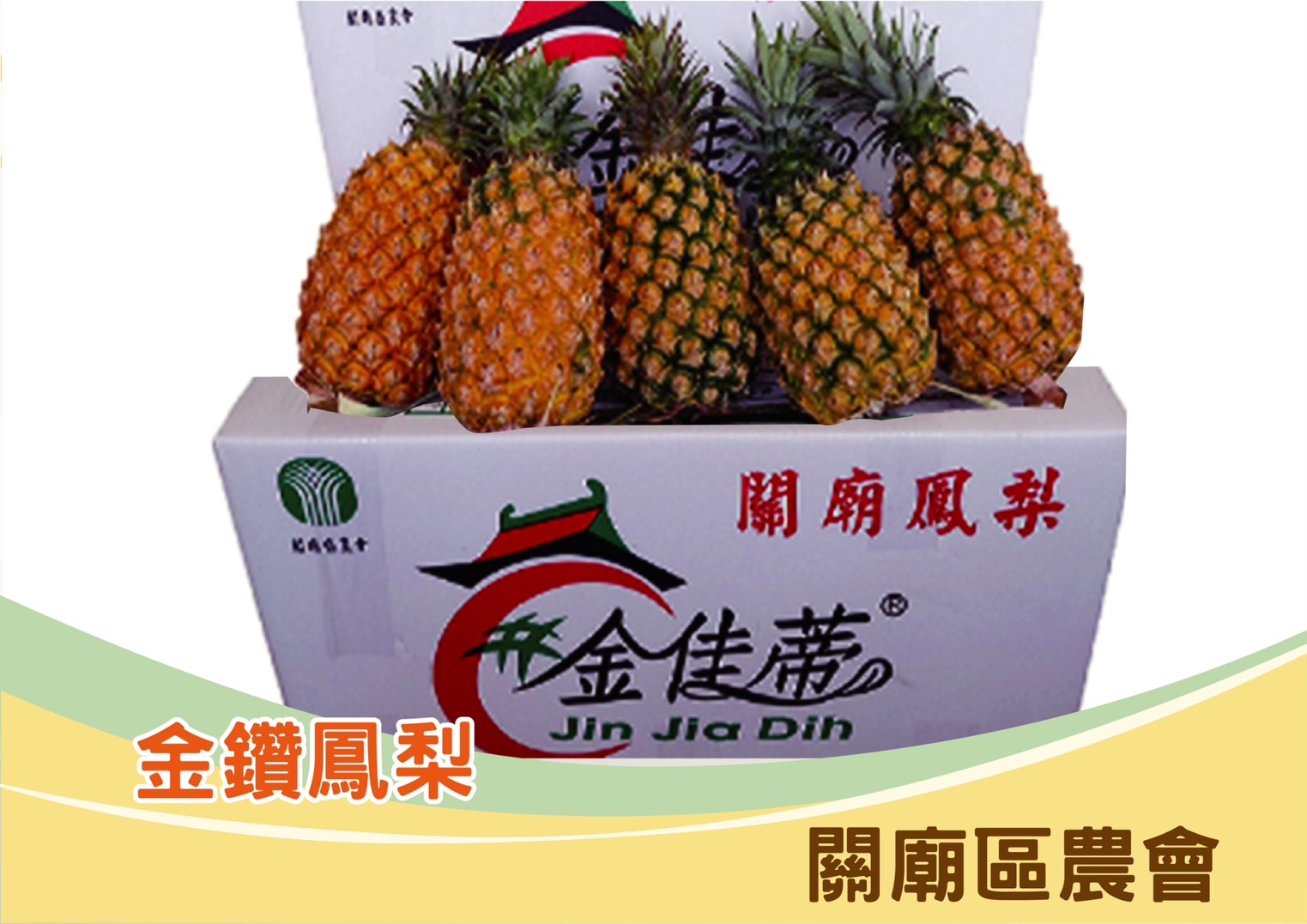 蔬菜水果
