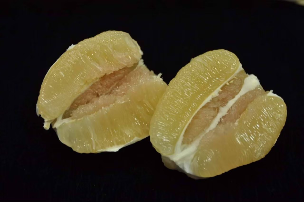 蔬菜水果