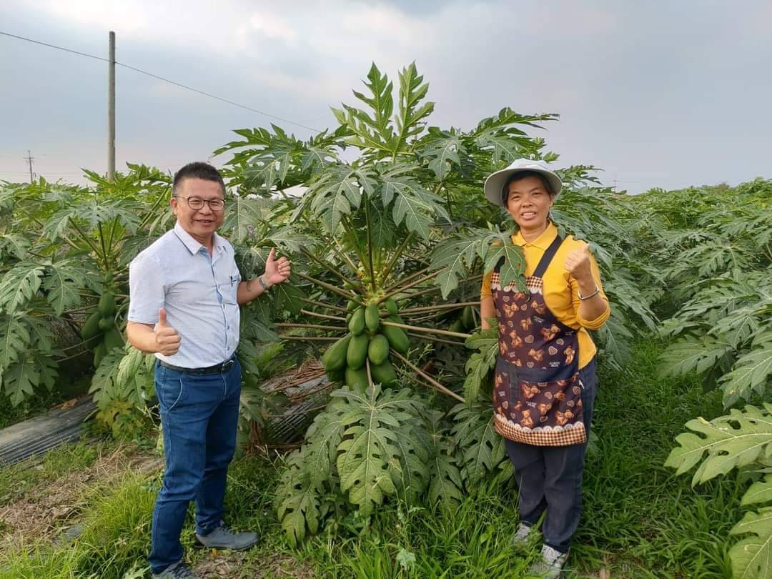 蔬菜水果