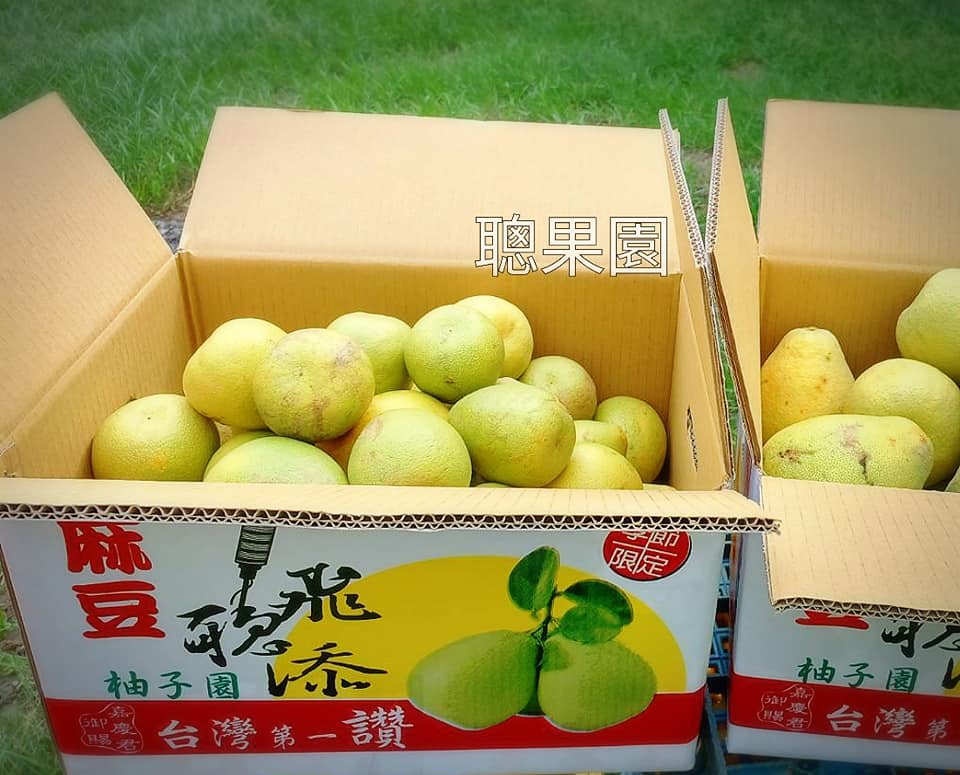 完售，2026年再見>醜皮優果文旦-20斤(外觀NG的次級品，建議自用)